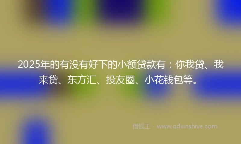 2025年的有没有好下的小额贷款有：你我贷、我来贷、东方汇、投友圈、小花钱包等。