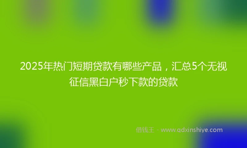 2025年热门短期贷款有哪些产品，汇总5个无视征信黑白户秒下款的贷款