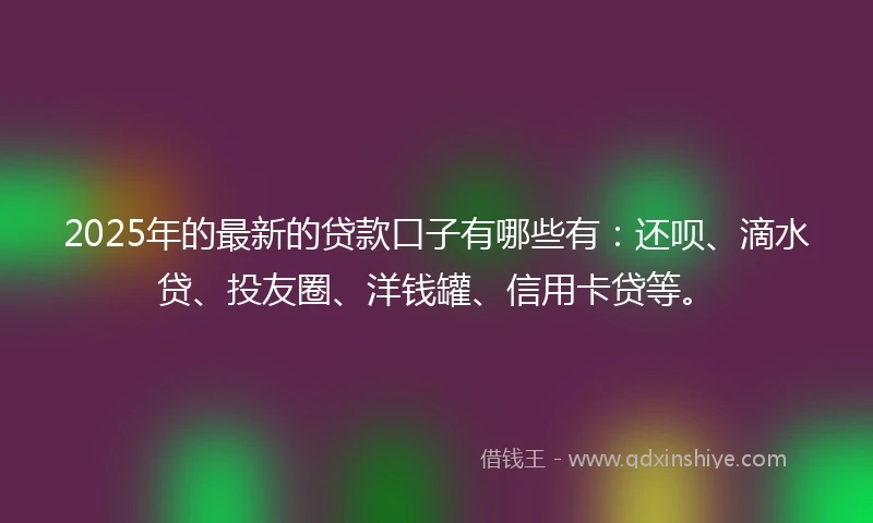 2025年的最新的贷款口子有哪些有：还呗、滴水贷、投友圈、洋钱罐、信用卡贷等。