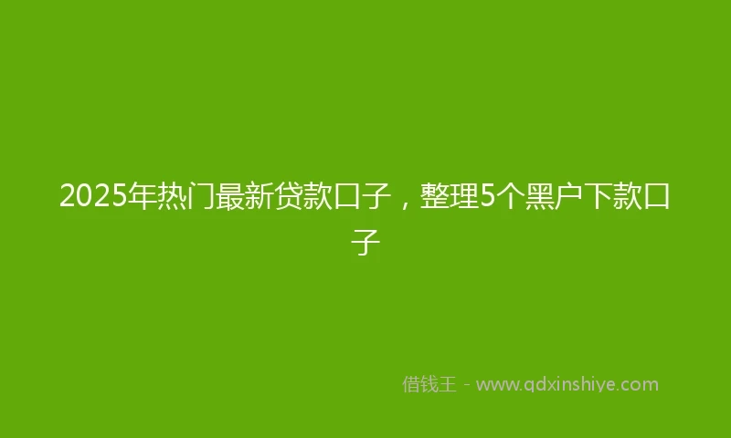 2025年热门最新贷款口子，整理5个黑户下款口子