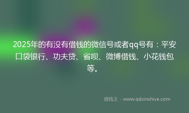 2025年的有没有借钱的微信号或者qq号有：平安口袋银行、功夫贷、省呗、微博借钱、小花钱包等。