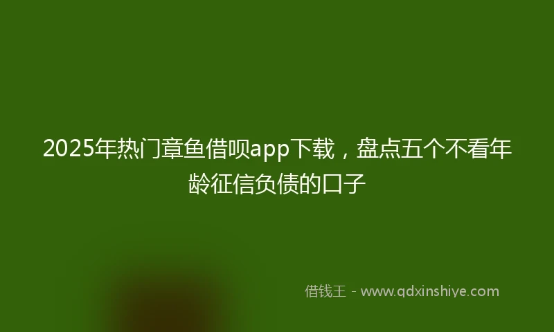 2025年热门章鱼借呗app下载，盘点五个不看年龄征信负债的口子
