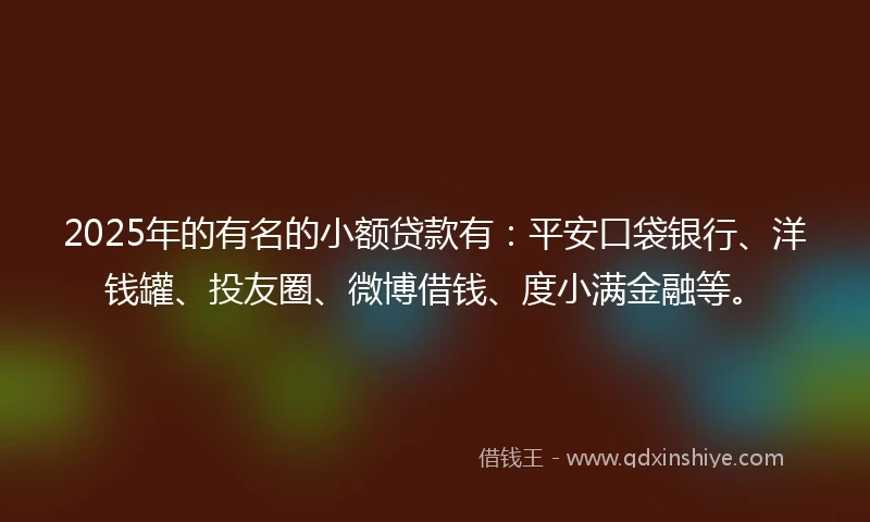 2025年的有名的小额贷款有：平安口袋银行、洋钱罐、投友圈、微博借钱、度小满金融等。