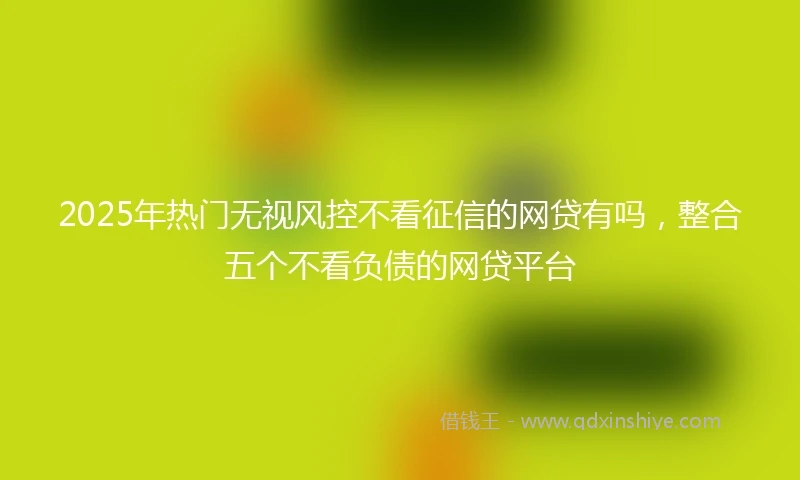2025年热门无视风控不看征信的网贷有吗，整合五个不看负债的网贷平台