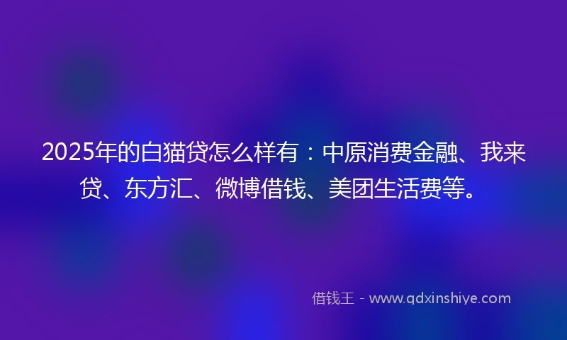 2025年的白猫贷怎么样有：中原消费金融、我来贷、东方汇、微博借钱、美团生活费等。