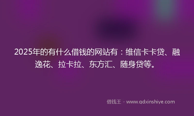 2025年的有什么借钱的网站有：维信卡卡贷、融逸花、拉卡拉、东方汇、随身贷等。