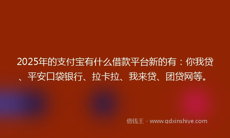 2025年的支付宝有什么借款平台新的有：你我贷、平安口袋银行、拉卡拉、我来贷、团贷网等。