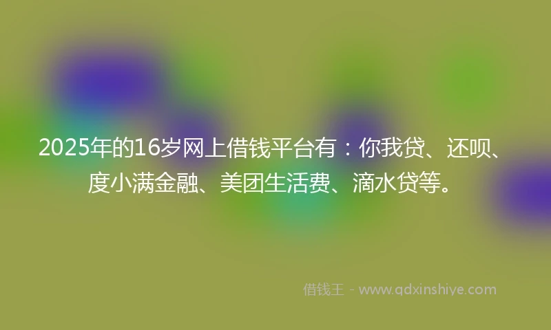 2025年的16岁网上借钱平台有：你我贷、还呗、度小满金融、美团生活费、滴水贷等。