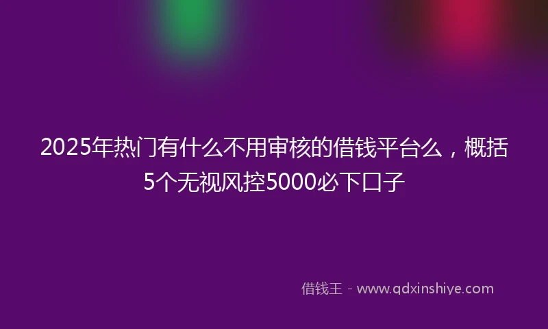 2025年热门有什么不用审核的借钱平台么，概括5个无视风控5000必下口子