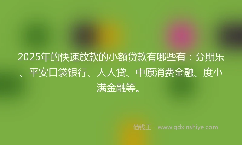 2025年的快速放款的小额贷款有哪些有：分期乐、平安口袋银行、人人贷、中原消费金融、度小满金融等。