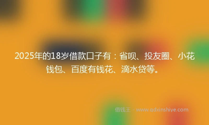 2025年的18岁借款口子有：省呗、投友圈、小花钱包、百度有钱花、滴水贷等。