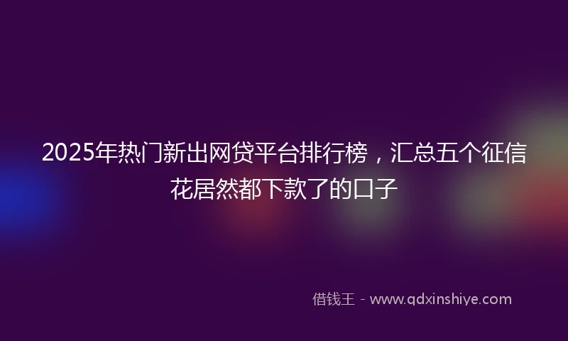 2025年热门新出网贷平台排行榜，汇总五个征信花居然都下款了的口子