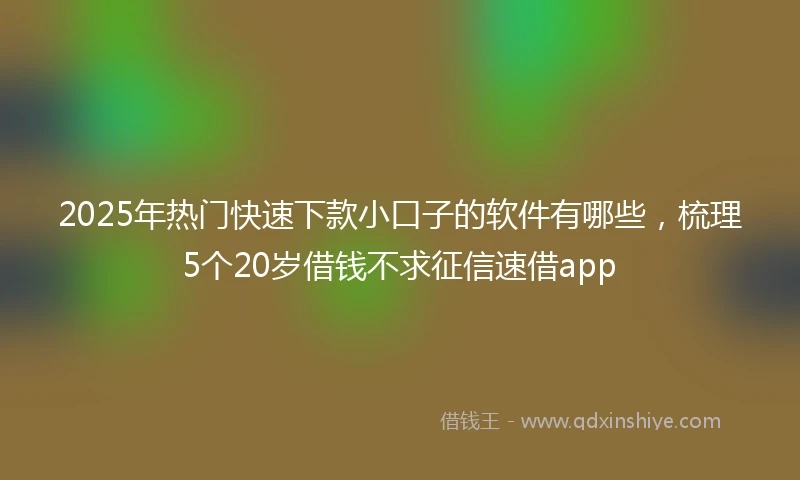 2025年热门快速下款小口子的软件有哪些，梳理5个20岁借钱不求征信速借app