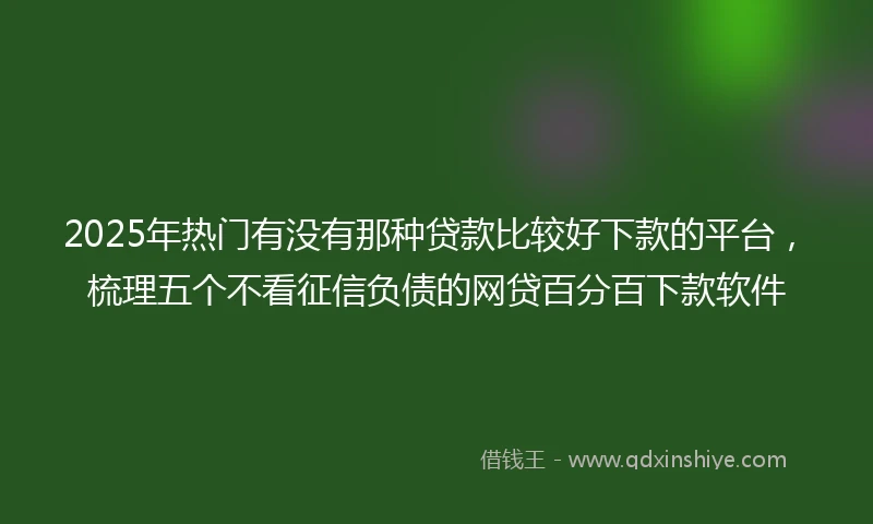 2025年热门有没有那种贷款比较好下款的平台，梳理五个不看征信负债的网贷百分百下款软件