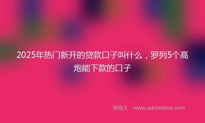 2025年热门新开的贷款口子叫什么，罗列5个高炮能下款的口子