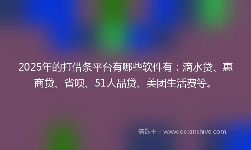 2025年的打借条平台有哪些软件有：滴水贷、惠商贷、省呗、51人品贷、美团生活费等。