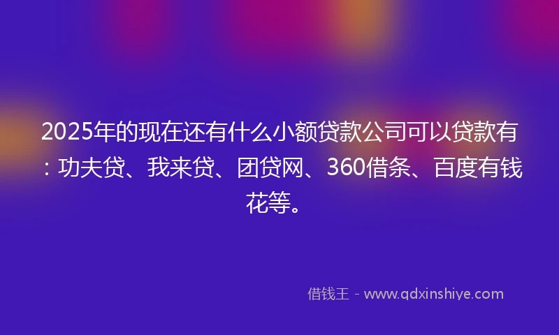 2025年的现在还有什么小额贷款公司可以贷款有：功夫贷、我来贷、团贷网、360借条、百度有钱花等。