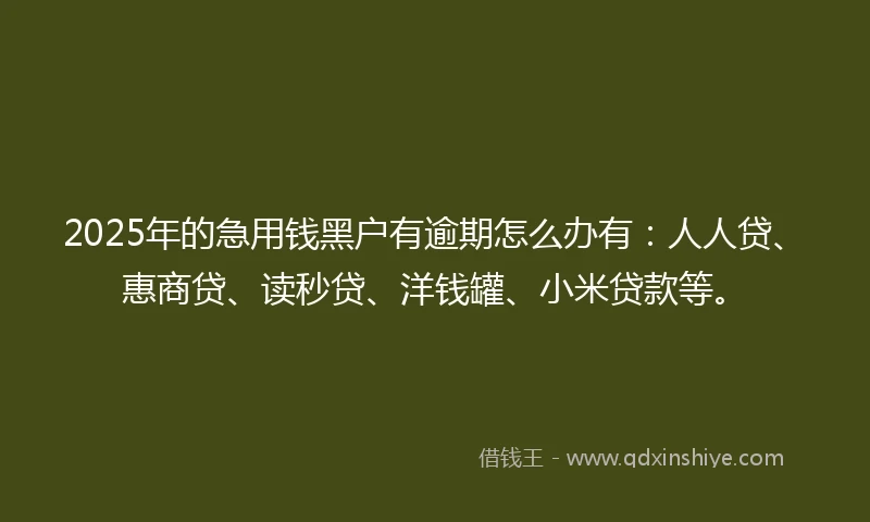 2025年的急用钱黑户有逾期怎么办有：人人贷、惠商贷、读秒贷、洋钱罐、小米贷款等。