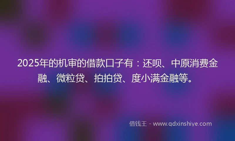 2025年的机审的借款口子有：还呗、中原消费金融、微粒贷、拍拍贷、度小满金融等。