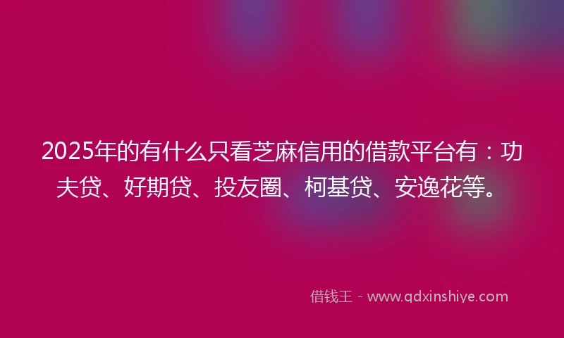 2025年的有什么只看芝麻信用的借款平台有：功夫贷、好期贷、投友圈、柯基贷、安逸花等。