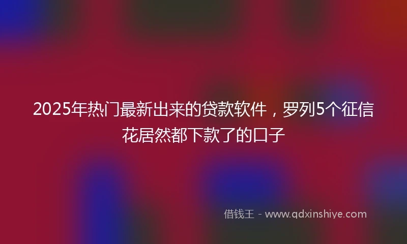 2025年热门最新出来的贷款软件，罗列5个征信花居然都下款了的口子