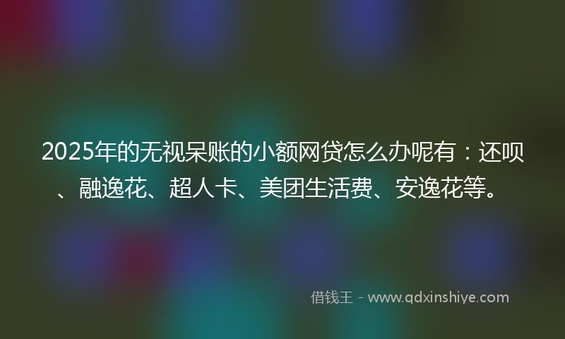 2025年的无视呆账的小额网贷怎么办呢有：还呗、融逸花、超人卡、美团生活费、安逸花等。