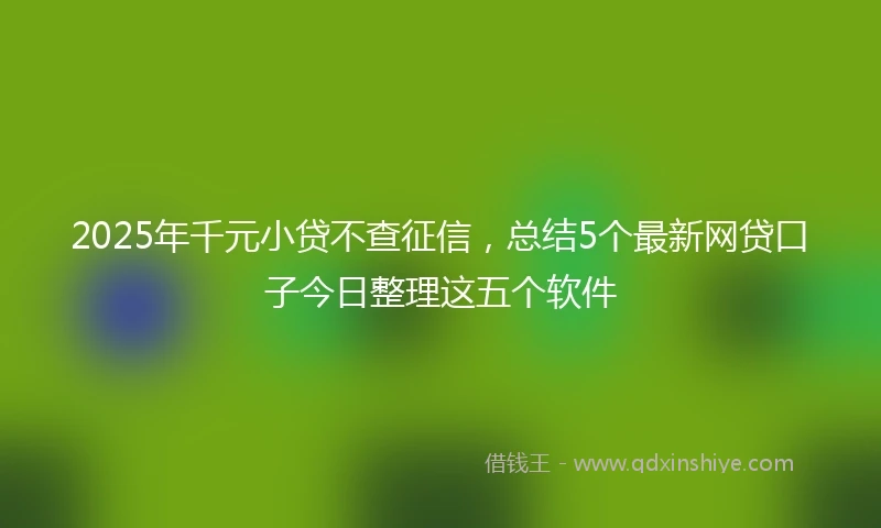 2025年千元小贷不查征信，总结5个最新网贷口子今日整理这五个软件