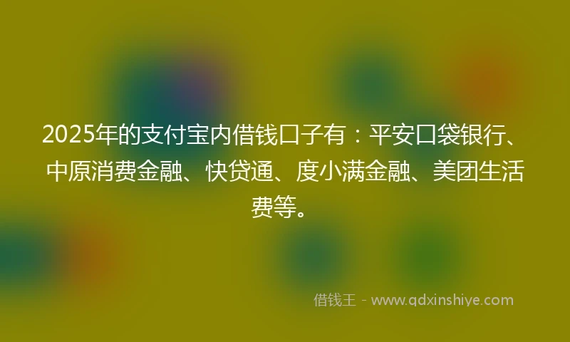 2025年的支付宝内借钱口子有：平安口袋银行、中原消费金融、快贷通、度小满金融、美团生活费等。