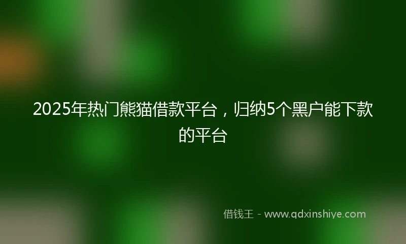 2025年热门熊猫借款平台，归纳5个黑户能下款的平台