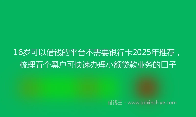 16岁可以借钱的平台不需要银行卡2025年推荐，梳理五个黑户可快速办理小额贷款业务的口子