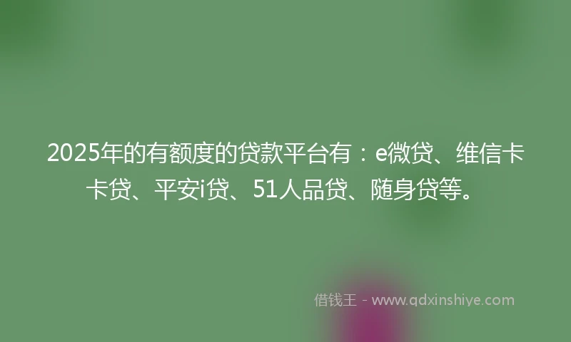 2025年的有额度的贷款平台有：e微贷、维信卡卡贷、平安i贷、51人品贷、随身贷等。