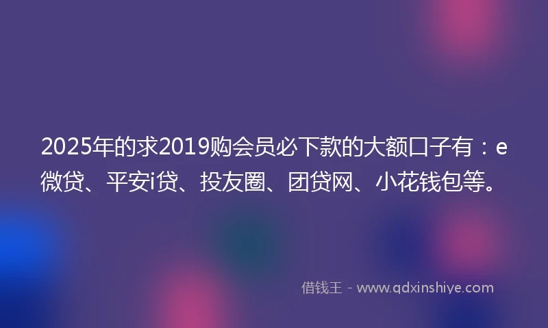 2025年的求2019购会员必下款的大额口子有：e微贷、平安i贷、投友圈、团贷网、小花钱包等。
