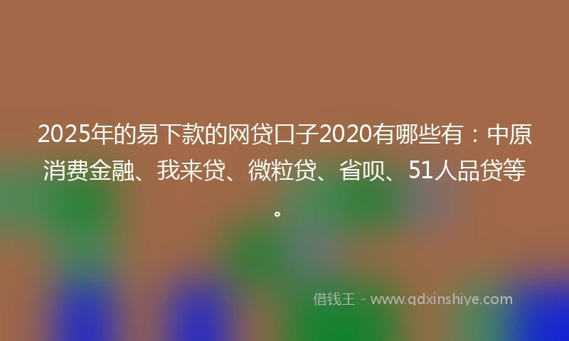 2025年的易下款的网贷口子2020有哪些有：中原消费金融、我来贷、微粒贷、省呗、51人品贷等。