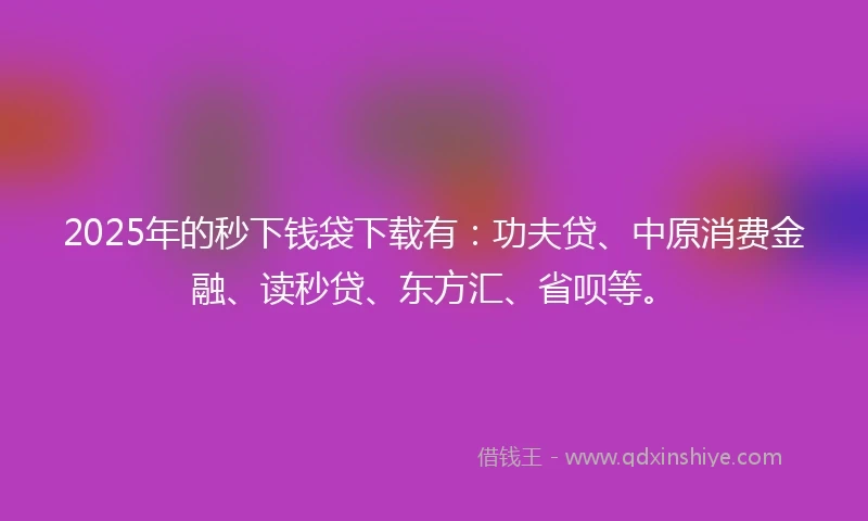 2025年的秒下钱袋下载有：功夫贷、中原消费金融、读秒贷、东方汇、省呗等。