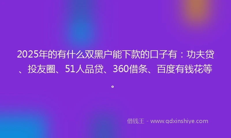 2025年的有什么双黑户能下款的口子有：功夫贷、投友圈、51人品贷、360借条、百度有钱花等。