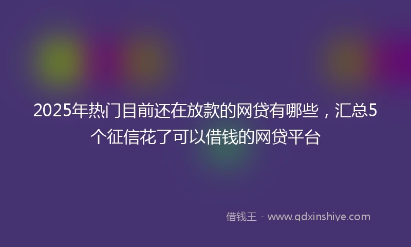 2025年热门目前还在放款的网贷有哪些，汇总5个征信花了可以借钱的网贷平台