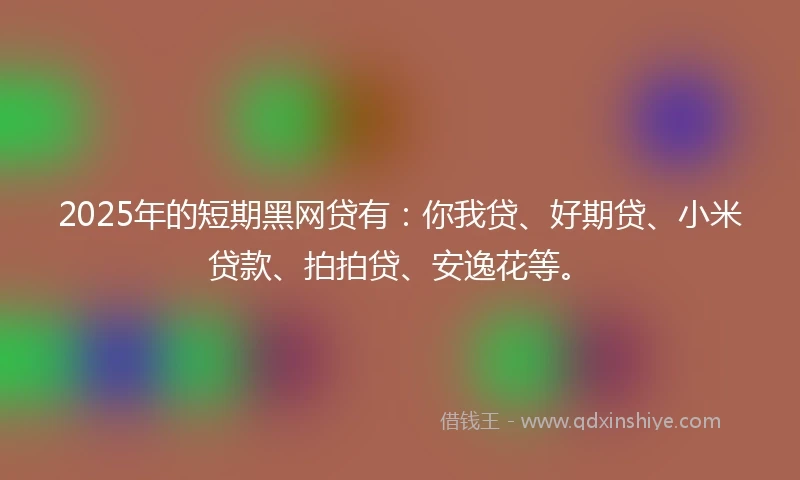 2025年的短期黑网贷有：你我贷、好期贷、小米贷款、拍拍贷、安逸花等。