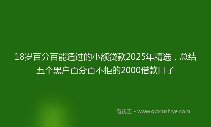 18岁百分百能通过的小额贷款2025年精选，总结五个黑户百分百不拒的2000借款口子