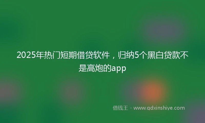 2025年热门短期借贷软件，归纳5个黑白贷款不是高炮的app