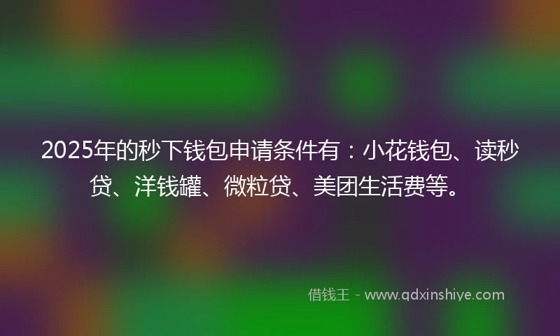 2025年的秒下钱包申请条件有：小花钱包、读秒贷、洋钱罐、微粒贷、美团生活费等。