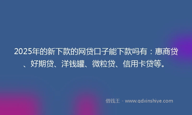 2025年的新下款的网贷口子能下款吗有：惠商贷、好期贷、洋钱罐、微粒贷、信用卡贷等。