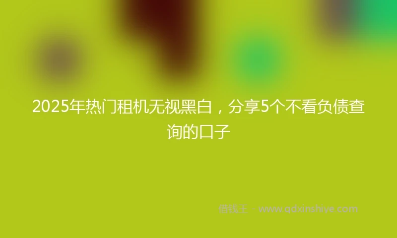 2025年热门租机无视黑白，分享5个不看负债查询的口子