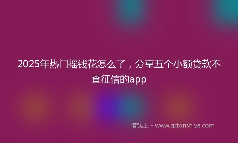 2025年热门摇钱花怎么了，分享五个小额贷款不查征信的app