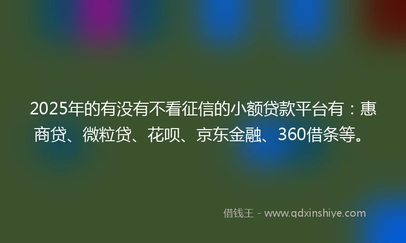2025年的有没有不看征信的小额贷款平台有：惠商贷、微粒贷、花呗、京东金融、360借条等。