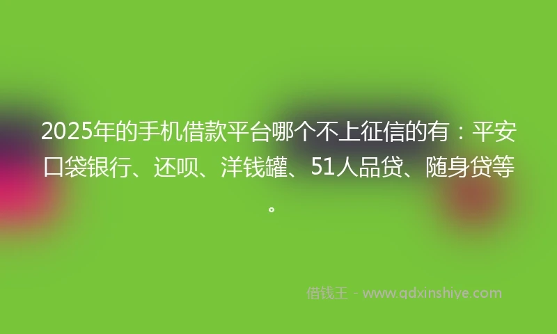 2025年的手机借款平台哪个不上征信的有：平安口袋银行、还呗、洋钱罐、51人品贷、随身贷等。