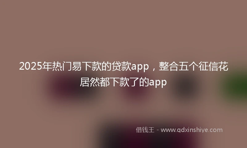 2025年热门易下款的贷款app，整合五个征信花居然都下款了的app