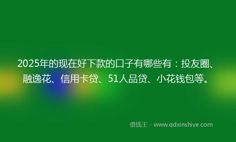 2025年的现在好下款的口子有哪些有:投友圈、融逸花、信用卡贷、51人品贷、小花钱包等。