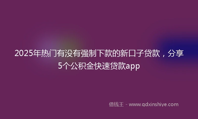 2025年热门有没有强制下款的新口子贷款，分享5个公积金快速贷款app