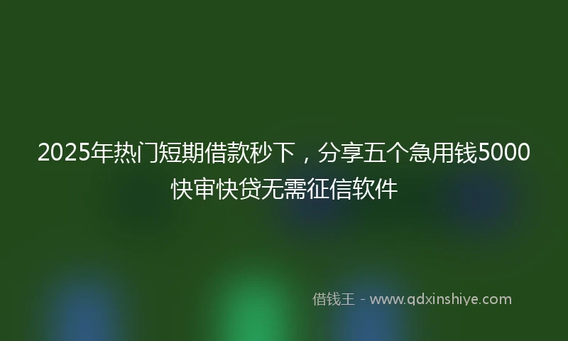 2025年热门短期借款秒下，分享五个急用钱5000快审快贷无需征信软件