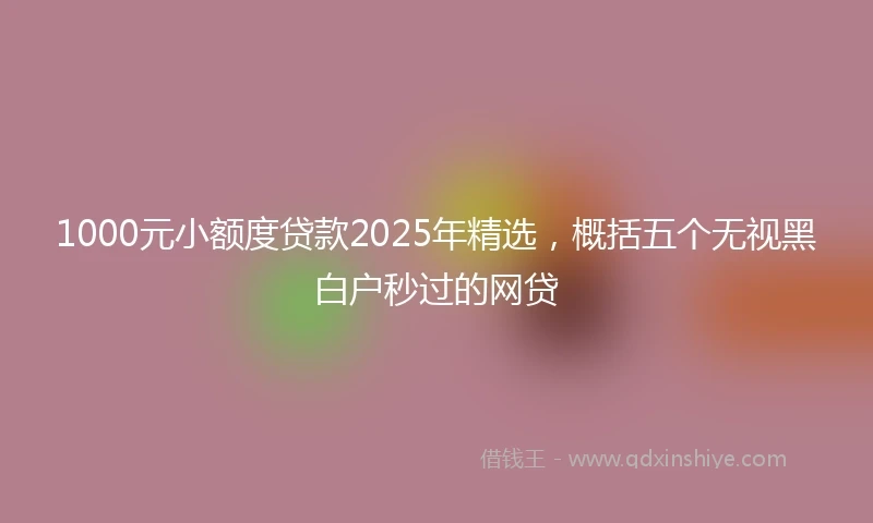 1000元小额度贷款2025年精选，概括五个无视黑白户秒过的网贷